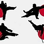 каратэ, каратист, терминалогия каратэ