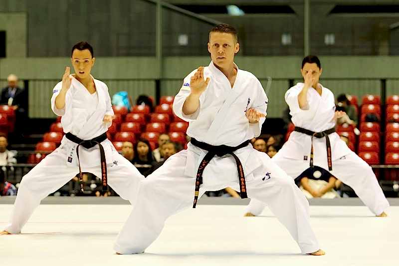 Все ката киокушинкай каратэ (с видео)