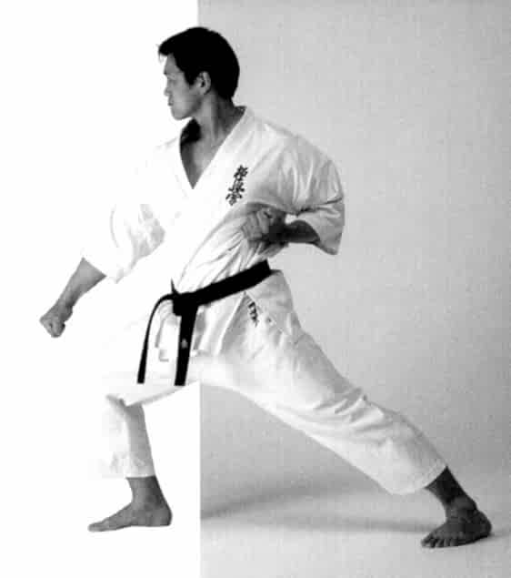 Стойки в киокушинкай каратэ (фото и видео)